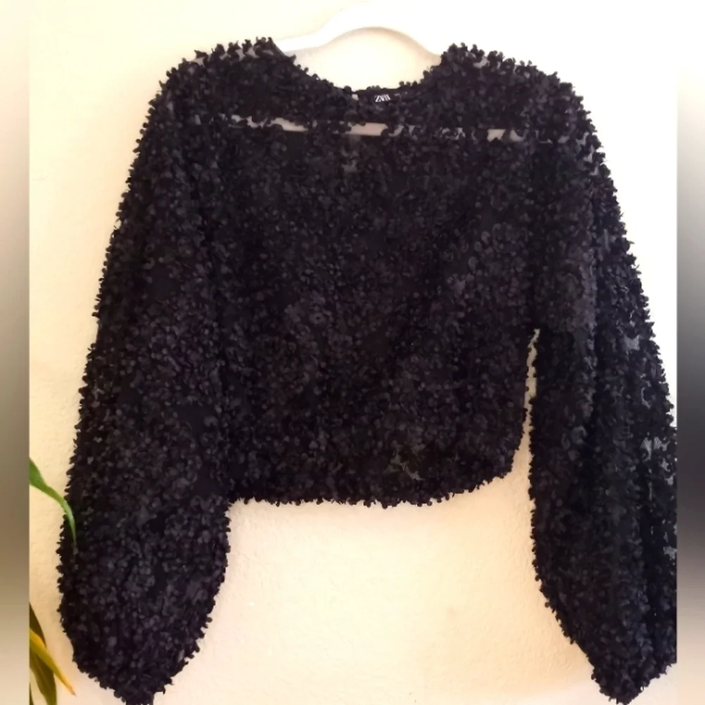 Zara Sheer Black Mesh With 3D Applique Petals Boho Casual Crop Long Sleeve Top